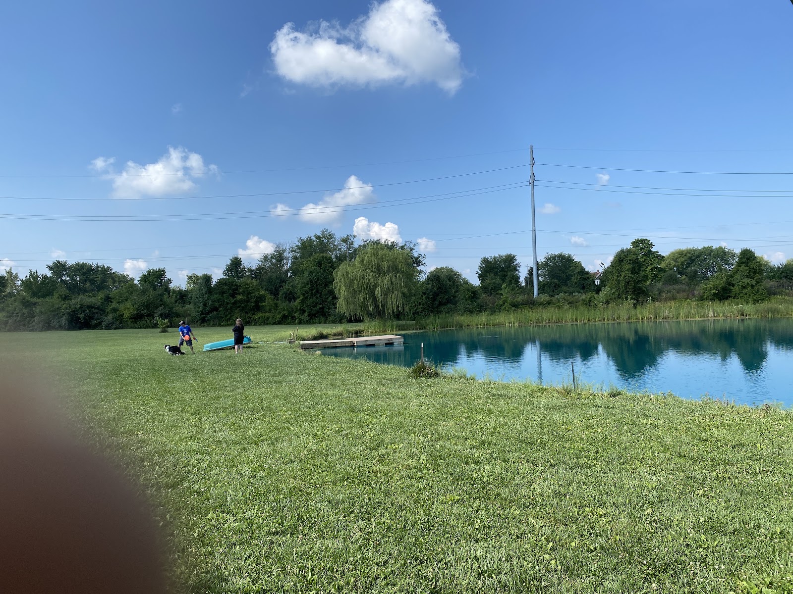 Mutt's Paradise AmuseMutt Park & Dog Training Center